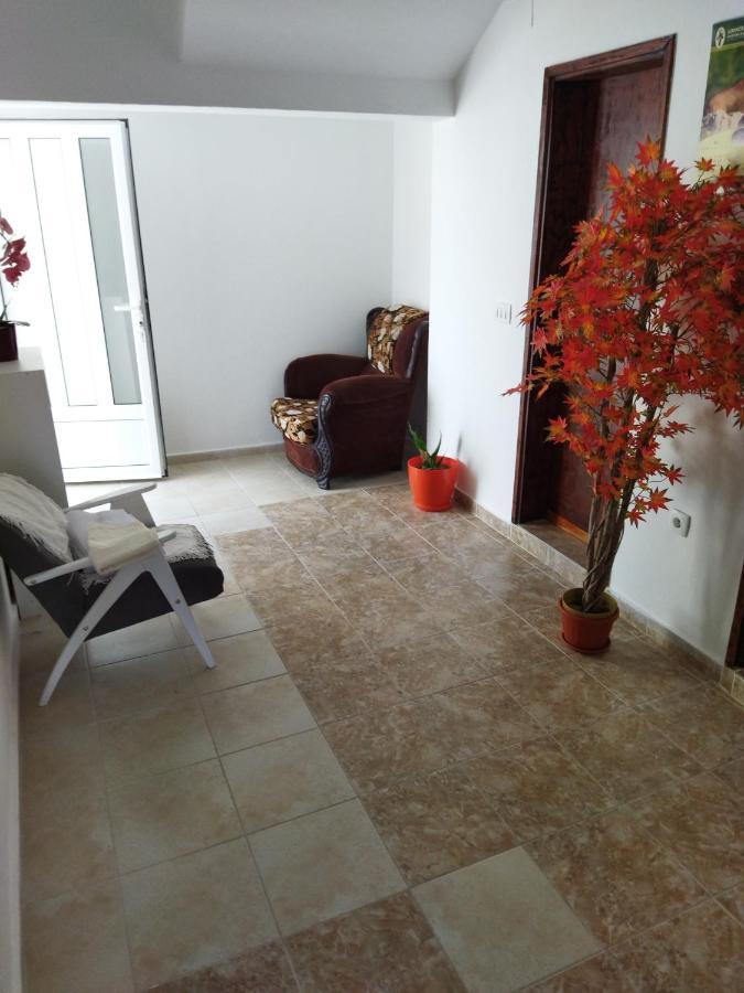Apartmani Bellami Bečići المظهر الخارجي الصورة